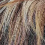 Er hårfjerningscreme egnet til alle hudtyper?